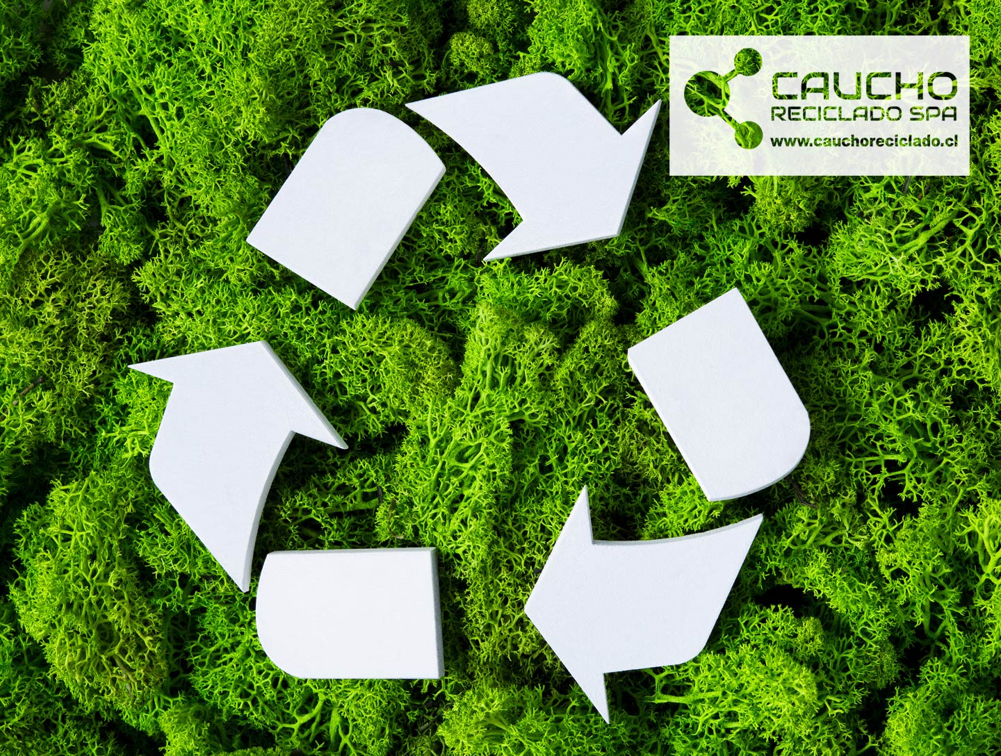 Ley de Responsabilidad Extendida del Productor: Impacto en el Reciclaje de Neumáticos en Chile