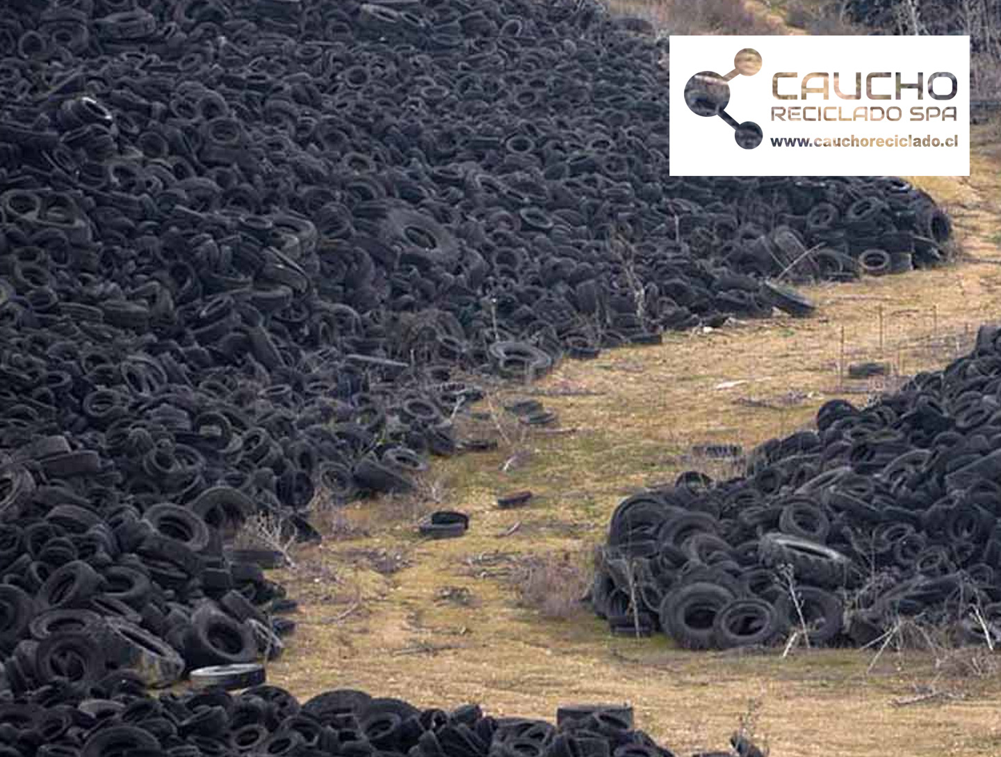 Reciclaje de Neumáticos: Proceso Completo para Producir Polvo de Caucho