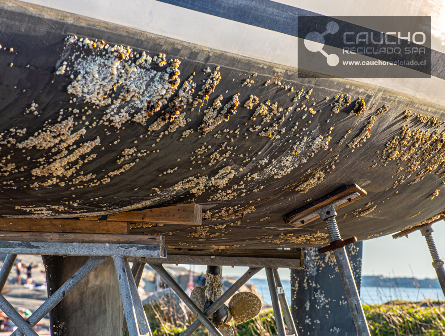 Caucho vs Cobre: Comparativa de Materiales Antifouling para Salmonicultura
