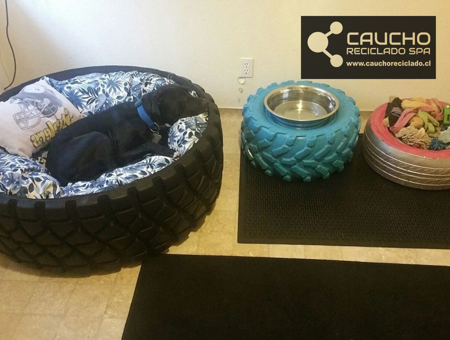 Camas de neumáticos para mascotas: Reciclaje creativo y sostenible