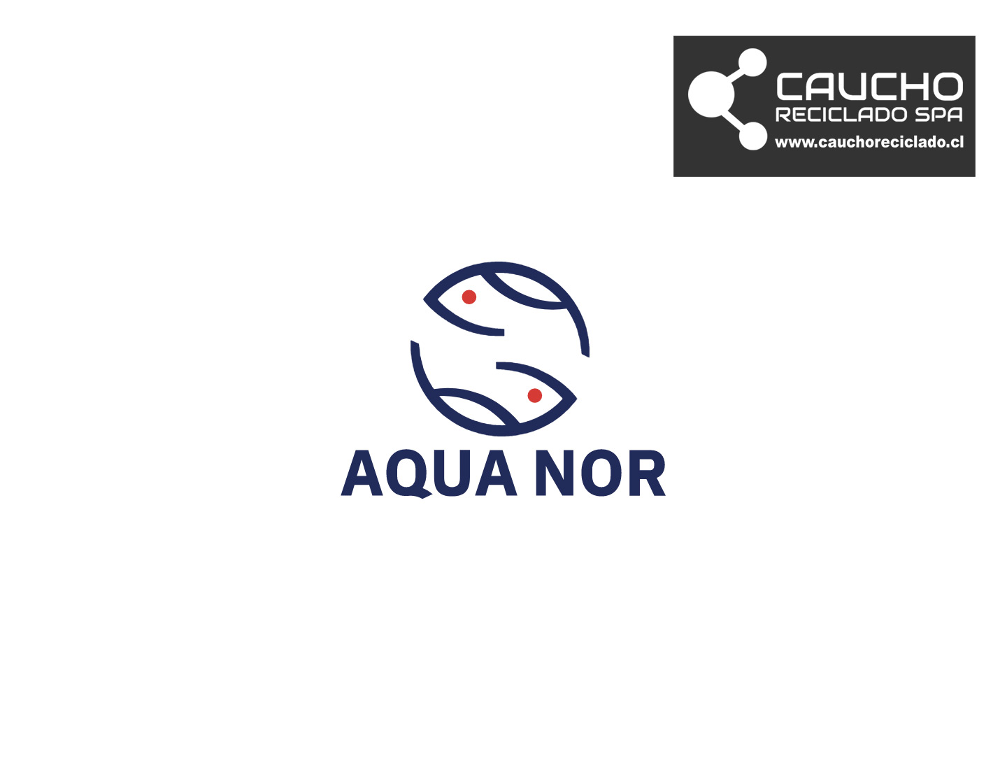 Aqua Nor 2021: La Feria Acuícola Mundial Adopta Formato Híbrido