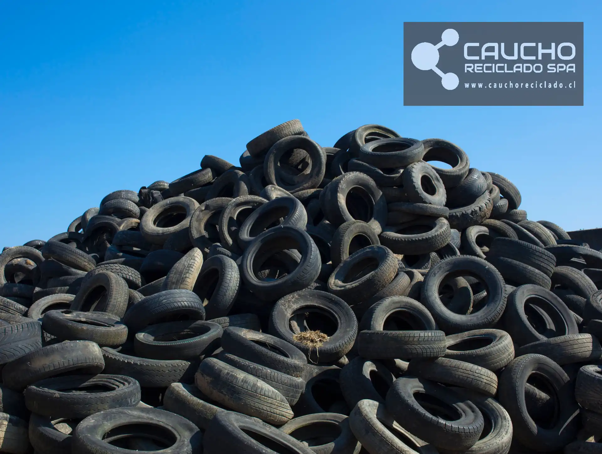 Pisos de Caucho para Pesebreras: Mulch de Caucho Reciclado para Caballerizas