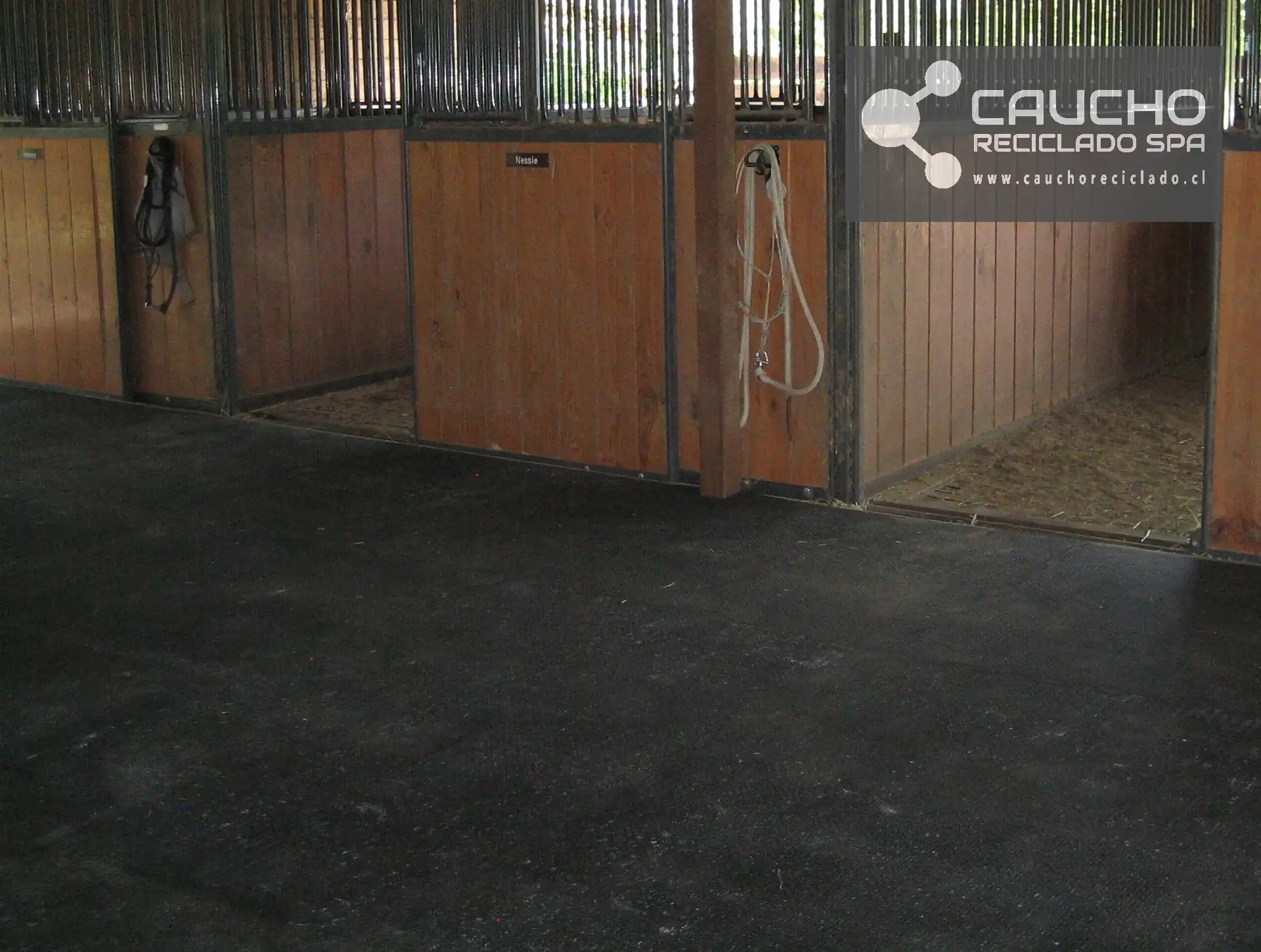 Pisos de Goma para Caballos: Baldosas de Caucho Reciclado para Establos